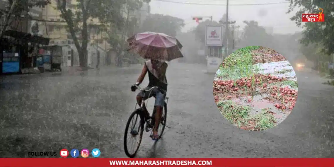 Even today, the meteorological department has warned of unseasonal rain in 'this' area of ​​the state; Onion crop has been affected in Nashik district